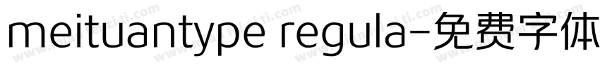 meituantype regula字体转换